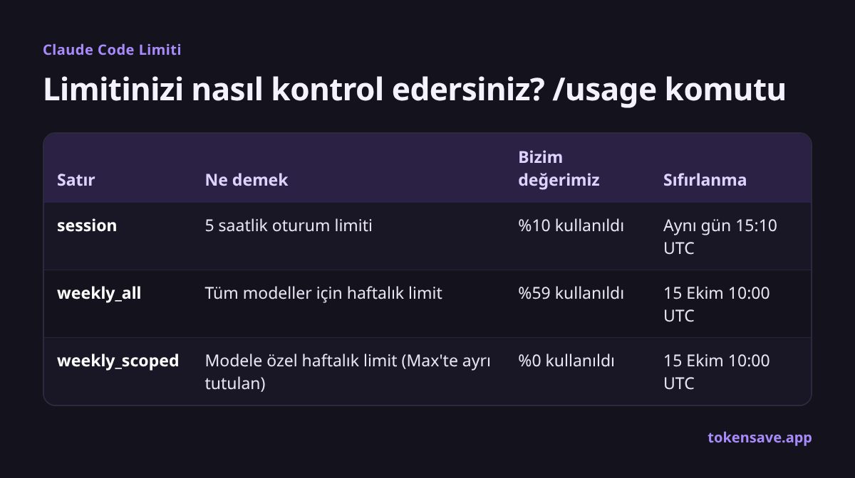 Limitinizi nasıl kontrol edersiniz? /usage komutu: Satır, Ne demek, Bizim değerimiz, Sıfırlanma