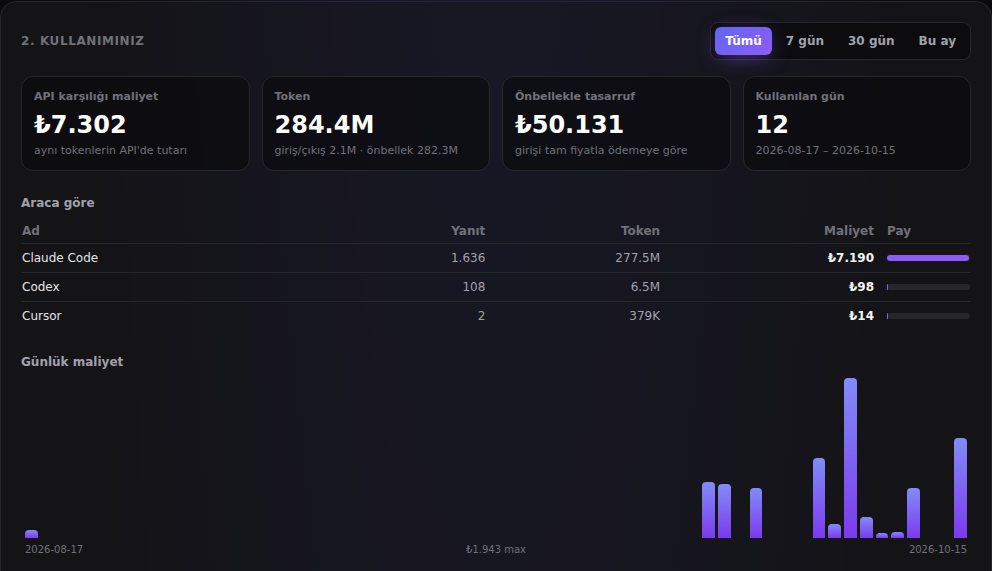 Analiz sonuçları: API karşılığı maliyet, tokenler, önbellek tasarrufu ve araca göre maliyet