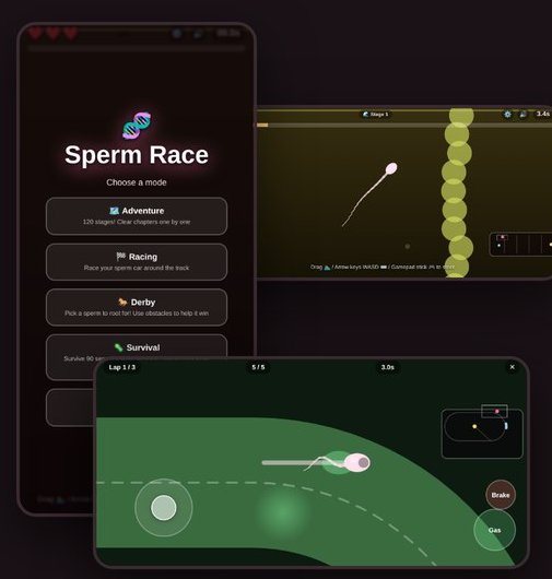 Sperm Race